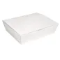 BOÎTES "LUNCH BOX" COUVERCLES